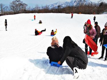 Full-Day Cruise, Sledding and Gotemba Outlet Tour from Tokyo