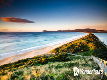 Full-Day Guided Bruny Island Tour from Hobart