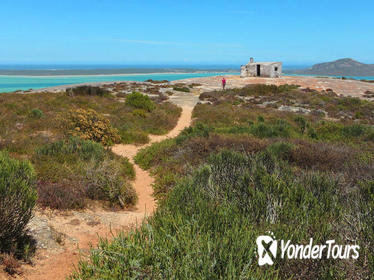 Full-Day Guided Cape West Coast Private Tour from Cape Town