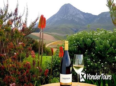 Full-Day Hemel-en-Aarde Valley Wine and Whale Coast Private Tour from Cape Town