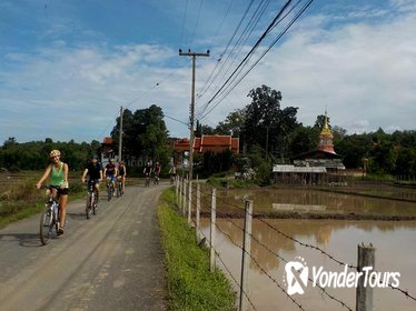 Full-Day Hike and Bike Tour in Mae Sa Valley from Chiang Mai Full-Day Hike and Bike Tour in Mae Sa Valley from Chiang Mai