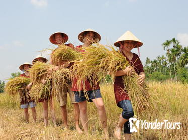 Full-Day Hoi An Town and Tra Que Vegetable Village Tour