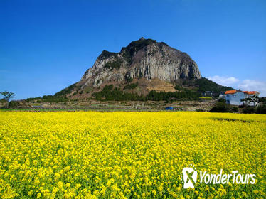 Full-Day Jeju West Coast Bus Tour with Lunch