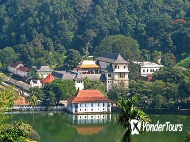 Full-Day Kandy Highlights Tour