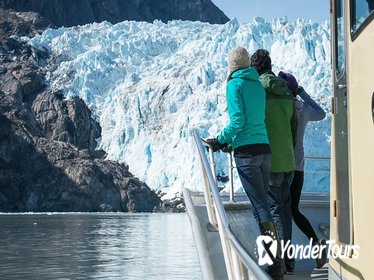Full-Day Kenai Fjords National Park Adventure Cruise