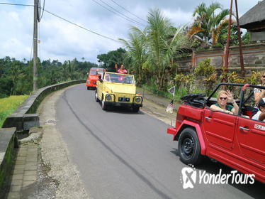 Full-day Kintamani Volcano Tour with VW Safari