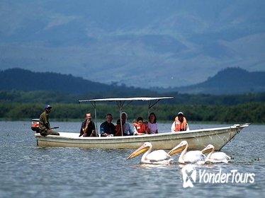 Full-Day Lake Naivasha Tour from Nairobi