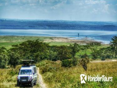 Full-Day Lake Nakuru National Park Private Tour from Nairobi