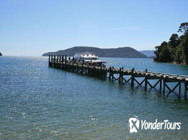 Full-Day Marlborough Catamaran Cruise with Wine Tour and Lunch