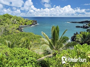 Full-Day Maui Tour: Road to Hana Tour