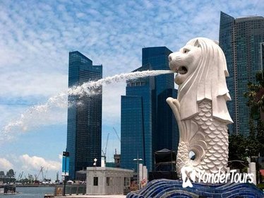 Full-Day Private Singapore Heritage Sightseeing Tour