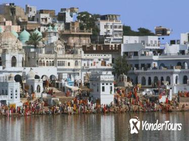 Full-Day Private Tour from Udaipur to Jaipur