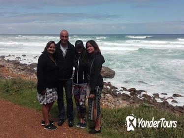 Full-Day Private Tour to Cape Point from Cape Town