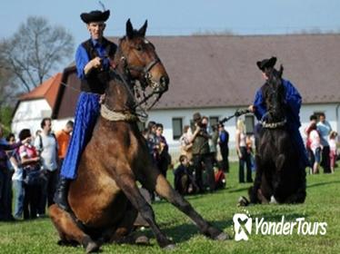 Full-Day Private Tour to Debrecen and Hortobagy National Park from Budapest