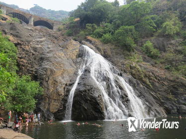 Full-Day Private Tour to Dudhsagar Falls and Spice Plantation From Goa