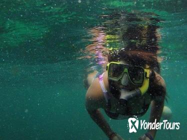 Full-Day Pulau Payar Snorkeling Tour from Langkawi