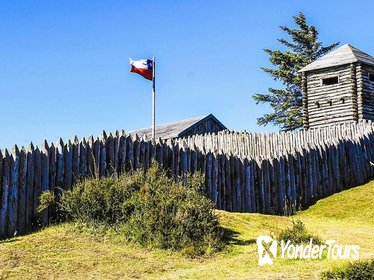 Full-Day Punta Arenas and Magellan Strait Tour