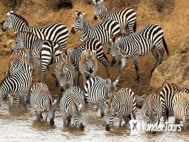 Full-Day Safari in Tarangire National Park in Tanzania