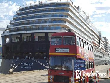 Full-Day Ships Shore Excursions from Dunedin