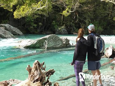 Full-Day Small-Group Routeburn Valley Walk