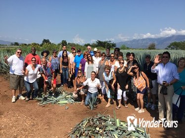 Full-Day Tequila Tour from Guadalajara