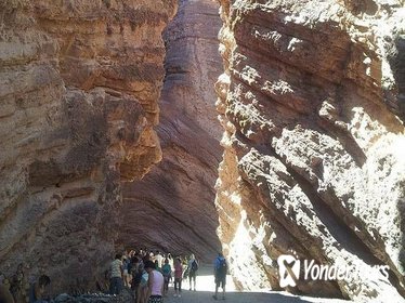 Full-Day Tour Cafayate Calchaqui Valleys with Wine