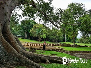 Full-Day Tour of the Taíno Route in Puerto Rico