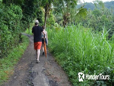 Full-Day Ubud Trekking Tour including Massage Experience