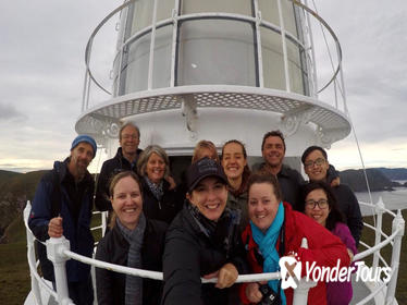 Fully Guided Bruny Island Lighthouse Tour