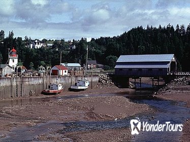 Fundy Coast to Fundy Shore Tour