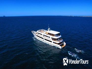 Galapagos Islands Cruise: 6-Day Tour with a Naturalist Aboard the 'Odyssey' Galapagos Islands Cruise: 6-Day Tour with a Naturalist Aboard the 'Odyssey'