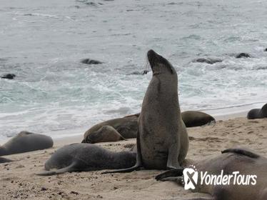 Galapagos Surprising 4 Days