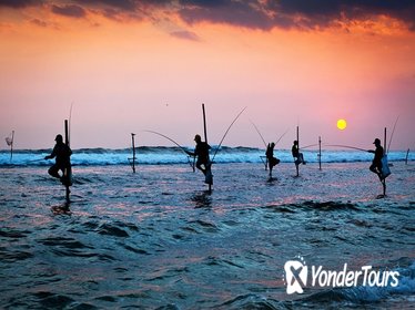 Galle Day Tour with Stilt Fishing Experience from Negombo