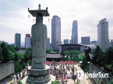 Gangnam District Tour in Seoul Including COEX Aquarium and Han River Cruise