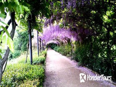 Gardens of Florence Private Tour