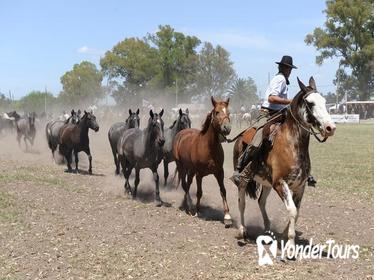 Gaucho Day Trip from Buenos Aires: Don Silvano Ranch