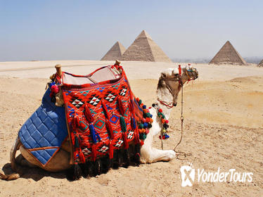 Giza Pyramids, Alabaster Mosque, Hanging Church Private Tour