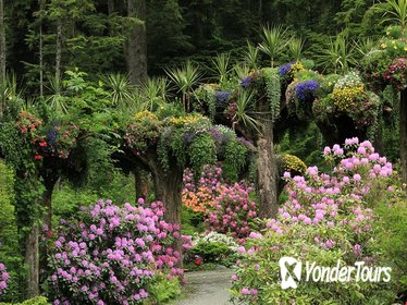 Glacier Gardens Rainforest Adventure in Juneau Glacier Gardens Rainforest Adventure in Juneau