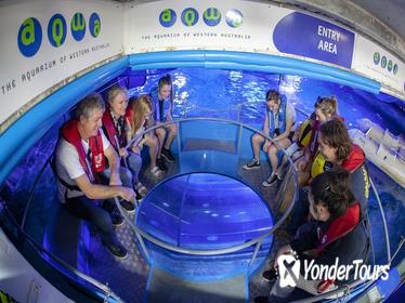 Glass Bottom Boat Adventure and AQWA General Entry Ticket