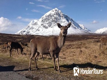 Glencoe, Loch Ness, and The Highlands Tour from Edinburgh