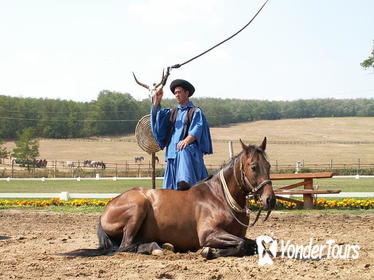 Godollo Palace and Magic Hungary Horse Show from Budapest Godollo Palace and Magic Hungary Horse Show from Budapest
