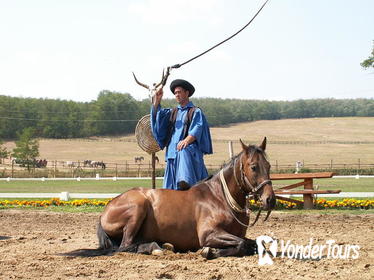 Godollo Palace and Magic Hungary Horse Show from Budapest