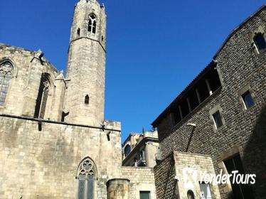 Gothic District and Picasso Museum Small Group Tour