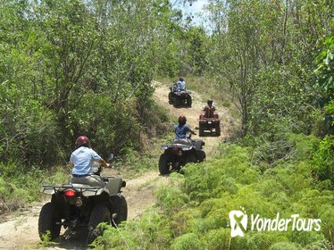 Grand Bahama ATV Tour from Freeport