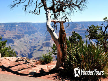 Grand Canyon National Park VIP Tour