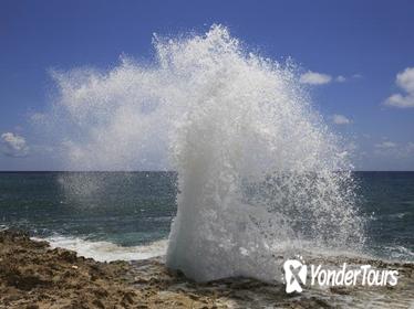 Grand Cayman Tour by 4x4 Including Pedro St James and Botanic Park