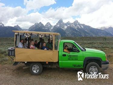 Grand Teton Wildlife Safari in Open-Air Vehicle