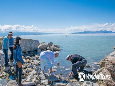 Great Salt Lake Tour by Bus