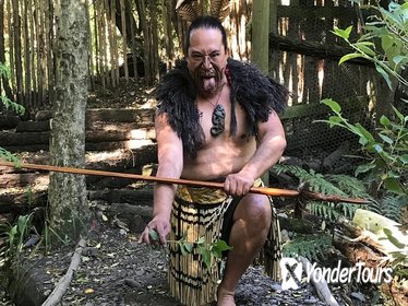 Guaranteed Kiwi Viewing & Maori Performance