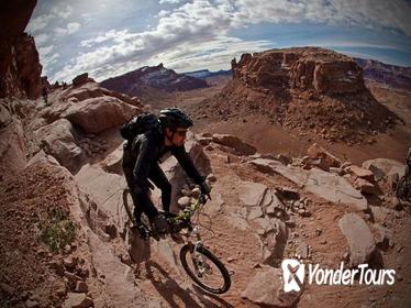 Guided Half-Day Mountain Bike Tour in Moab